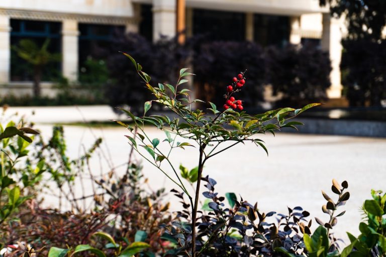 Embrace the Journey: Eco-Conscious Travel for the Modern Explorer