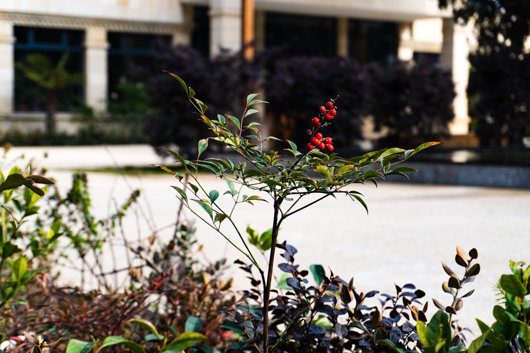 asherinns-com_24337f3