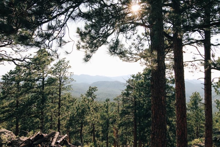 Exploring the Green Trails of Asheville: A Community’s Journey to Sustainable Adventure