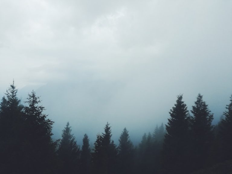 Exploring the Great Outdoors: Trends and Tips for the Modern Traveler